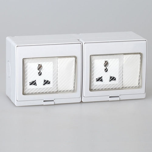 Two Switch with Two Multi-Purpose Socket